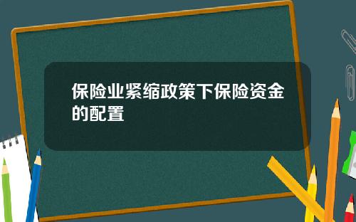 保险业紧缩政策下保险资金的配置