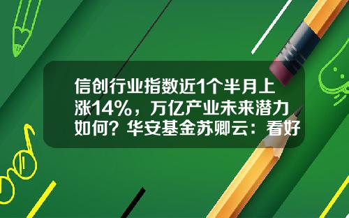 信创行业指数近1个半月上涨14%，万亿产业未来潜力如何？华安基金苏卿云：看好信创与数字经济投资机遇-信创基金