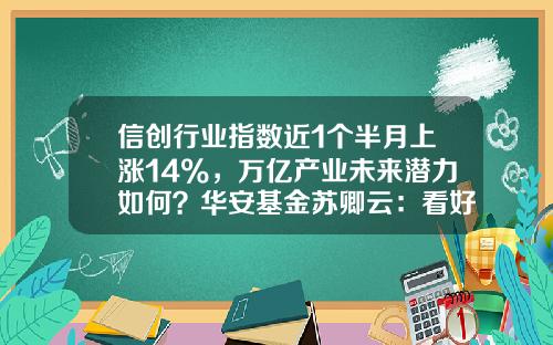 信创行业指数近1个半月上涨14%，万亿产业未来潜力如何？华安基金苏卿云：看好信创与数字经济投资机遇-基金行业前景