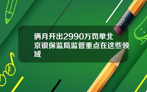 俩月开出2990万罚单北京银保监局监管重点在这些领域