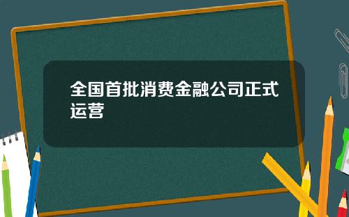 全国首批消费金融公司正式运营