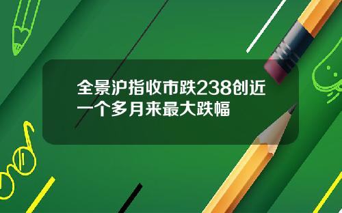 全景沪指收市跌238创近一个多月来最大跌幅