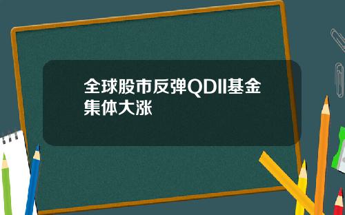 全球股市反弹QDII基金集体大涨