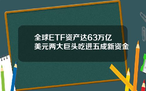 全球ETF资产达63万亿美元两大巨头吃进五成新资金