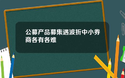 公募产品募集遇波折中小券商各有各难