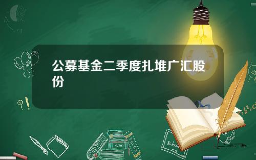 公募基金二季度扎堆广汇股份