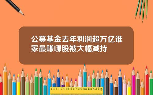 公募基金去年利润超万亿谁家最赚哪股被大幅减持