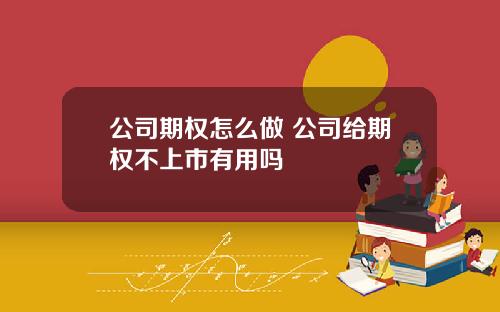 公司期权怎么做 公司给期权不上市有用吗