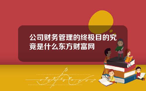 公司财务管理的终极目的究竟是什么东方财富网