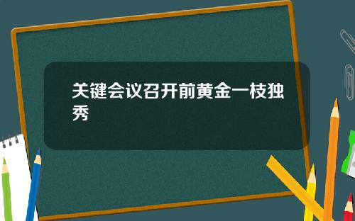 关键会议召开前黄金一枝独秀