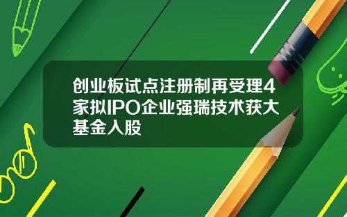 创业板试点注册制再受理4家拟IPO企业强瑞技术获大基金入股