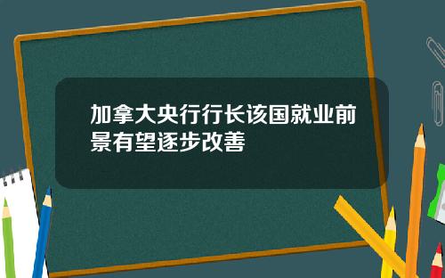 加拿大央行行长该国就业前景有望逐步改善