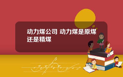 动力煤公司 动力煤是原煤还是精煤