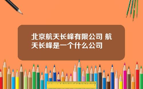 北京航天长峰有限公司 航天长峰是一个什么公司