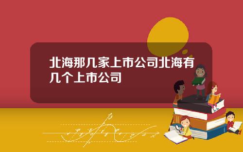 北海那几家上市公司北海有几个上市公司