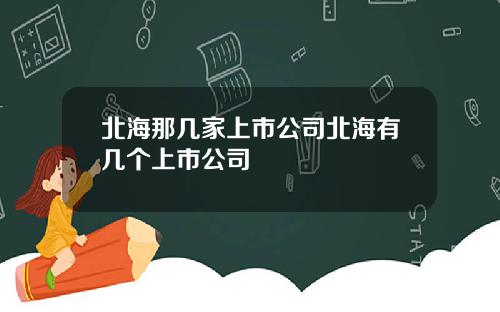 北海那几家上市公司北海有几个上市公司