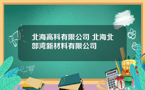 北海高科有限公司 北海北部湾新材料有限公司