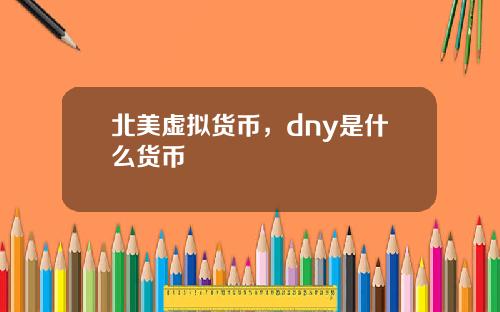 北美虚拟货币，dny是什么货币