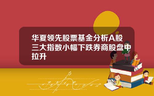 华夏领先股票基金分析A股三大指数小幅下跌券商股盘中拉升