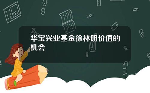 华宝兴业基金徐林明价值的机会