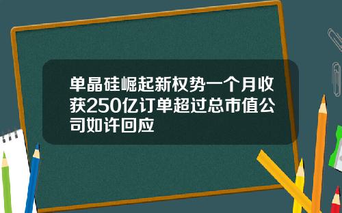 单晶硅崛起新权势一个月收获250亿订单超过总市值公司如许回应