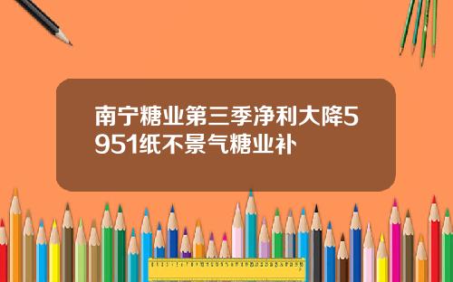 南宁糖业第三季净利大降5951纸不景气糖业补