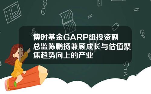 博时基金GARP组投资副总监陈鹏扬兼顾成长与估值聚焦趋势向上的产业