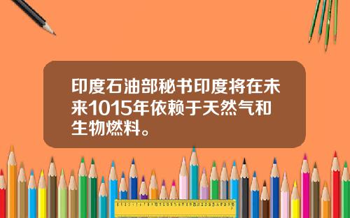 印度石油部秘书印度将在未来1015年依赖于天然气和生物燃料。