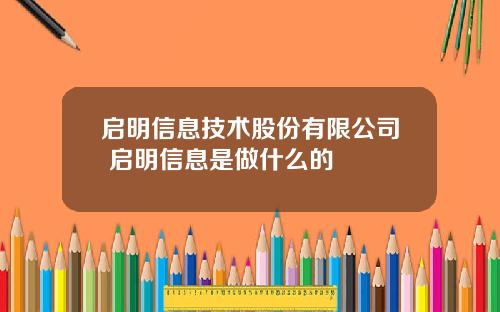 启明信息技术股份有限公司 启明信息是做什么的