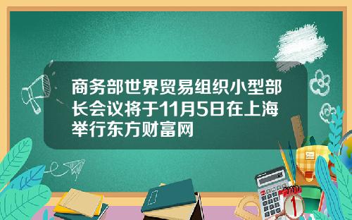 商务部世界贸易组织小型部长会议将于11月5日在上海举行东方财富网