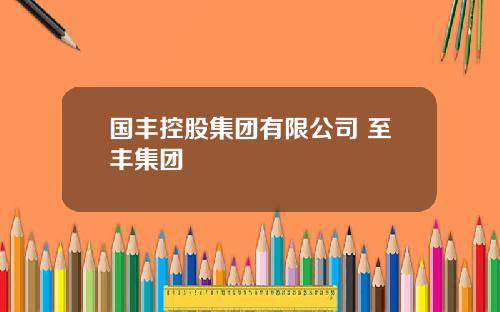 国丰控股集团有限公司 至丰集团