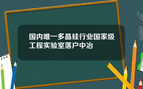 国内唯一多晶硅行业国家级工程实验室落户中冶