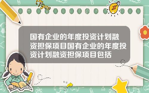 国有企业的年度投资计划融资担保项目国有企业的年度投资计划融资担保项目包括