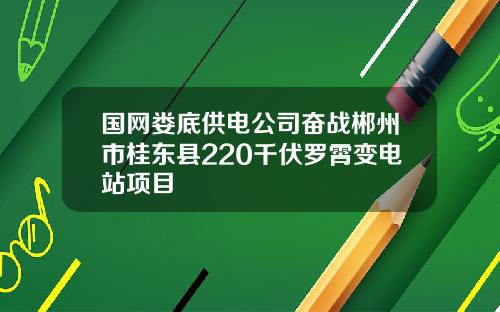 国网娄底供电公司奋战郴州市桂东县220千伏罗霄变电站项目