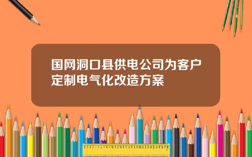 国网洞口县供电公司为客户定制电气化改造方案