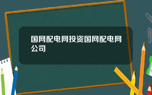 国网配电网投资国网配电网公司
