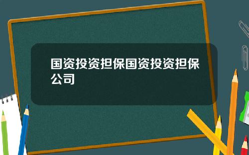国资投资担保国资投资担保公司