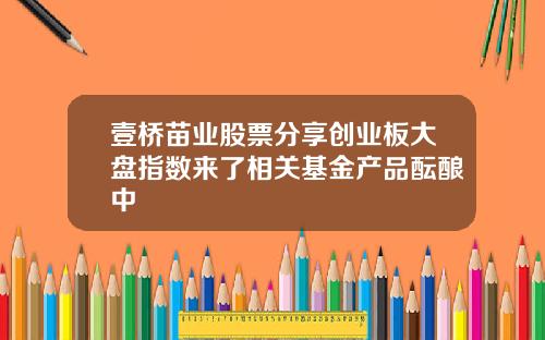 壹桥苗业股票分享创业板大盘指数来了相关基金产品酝酿中