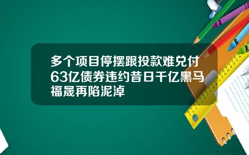 多个项目停摆跟投款难兑付63亿债券违约昔日千亿黑马福晟再陷泥淖