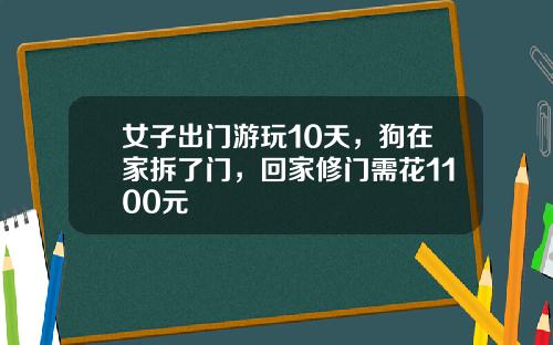 女子出门游玩10天，狗在家拆了门，回家修门需花1100元