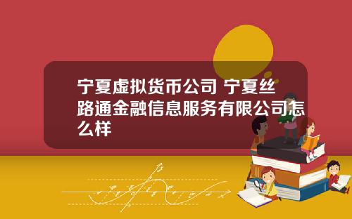 宁夏虚拟货币公司 宁夏丝路通金融信息服务有限公司怎么样