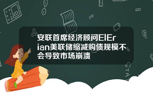 安联首席经济顾问ElErian美联储缩减购债规模不会导致市场崩溃