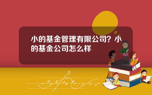 小的基金管理有限公司？小的基金公司怎么样