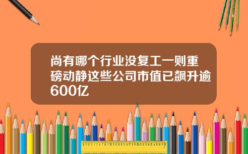尚有哪个行业没复工一则重磅动静这些公司市值已飙升逾600亿