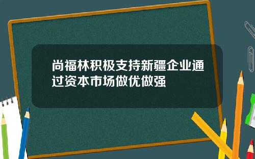 尚福林积极支持新疆企业通过资本市场做优做强