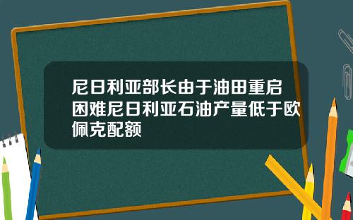 尼日利亚部长由于油田重启困难尼日利亚石油产量低于欧佩克配额