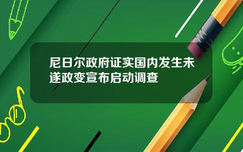 尼日尔政府证实国内发生未遂政变宣布启动调查