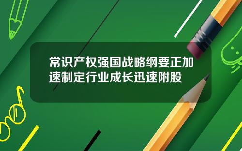 常识产权强国战略纲要正加速制定行业成长迅速附股