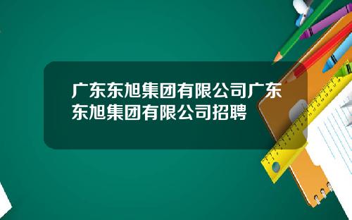 广东东旭集团有限公司广东东旭集团有限公司招聘