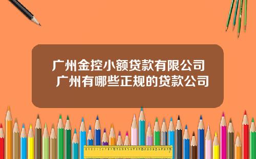 广州金控小额贷款有限公司 广州有哪些正规的贷款公司